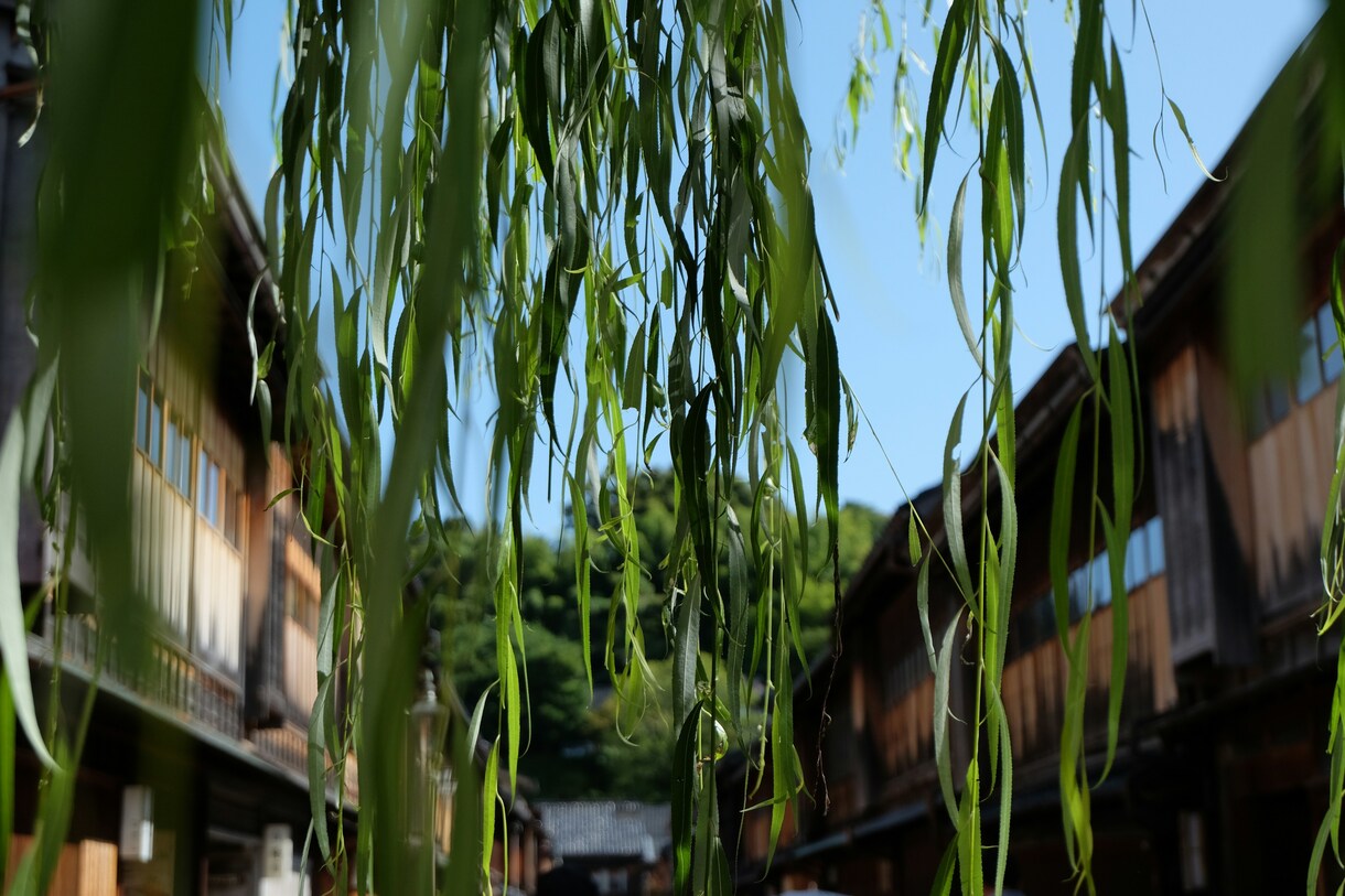 魂結び霊導鑑定《復縁の可能性》を霊視します 見えない絆を呼び覚まし愛の奇跡を引き寄せます イメージ7