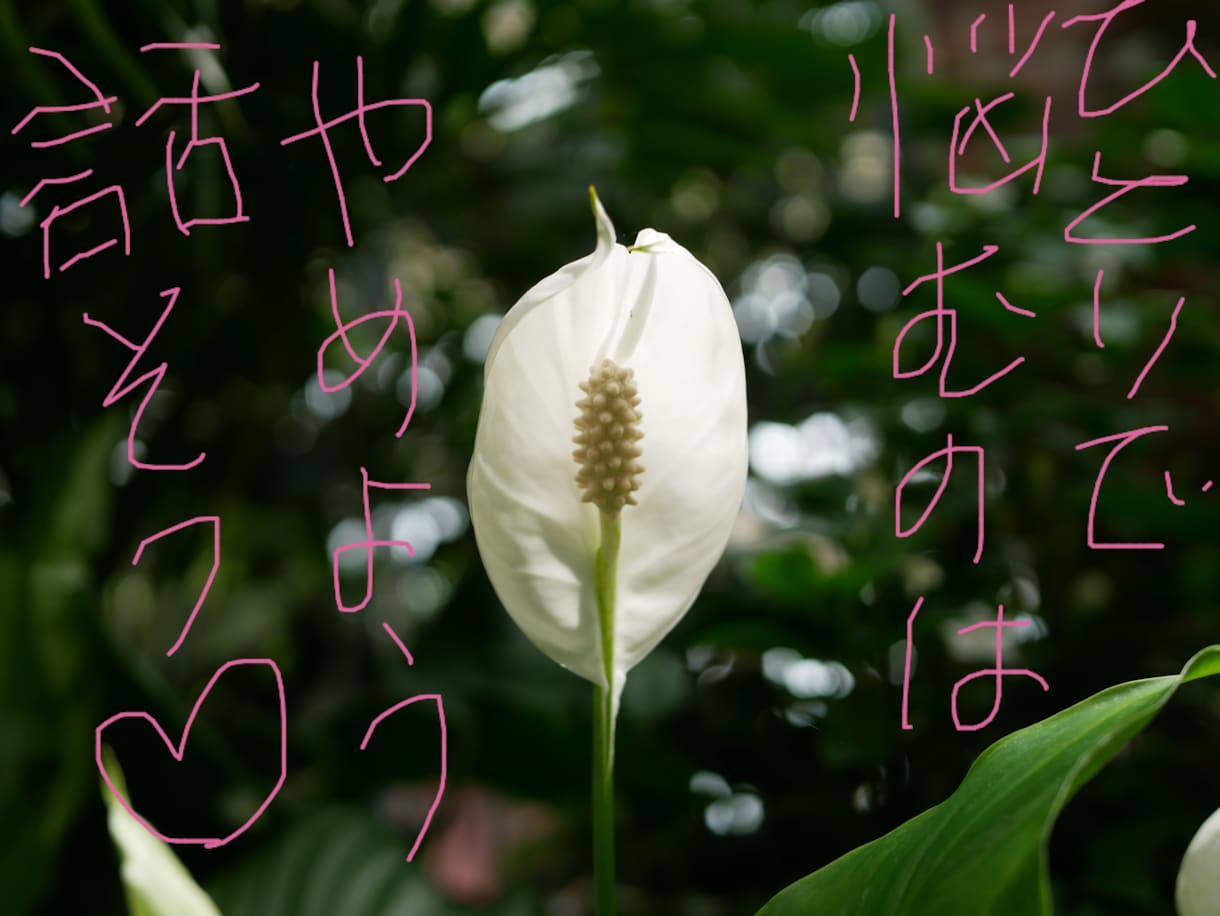 パニック障害 ご家族の気持ち聞きます 家族は辛いですよね。私も同じです。だから、お話しましょう。 イメージ1