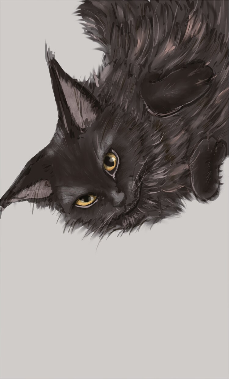 ペットや動物の絵を描きます 自分用だけでなく友人知人にもプレゼントとしてどうでしょうか！ イメージ4