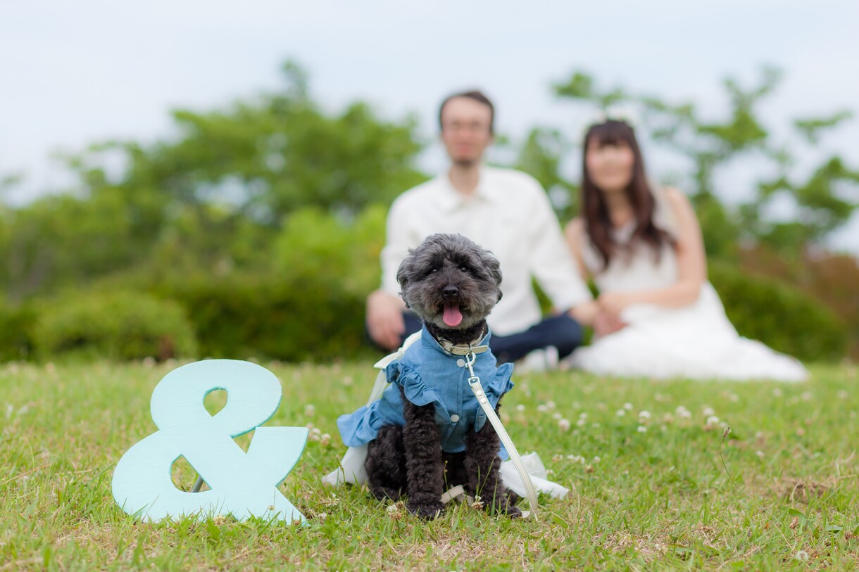 プロカメラマンが出張撮影いたします 【ポートレート】【家族写真】【宣材写真】 イメージ7