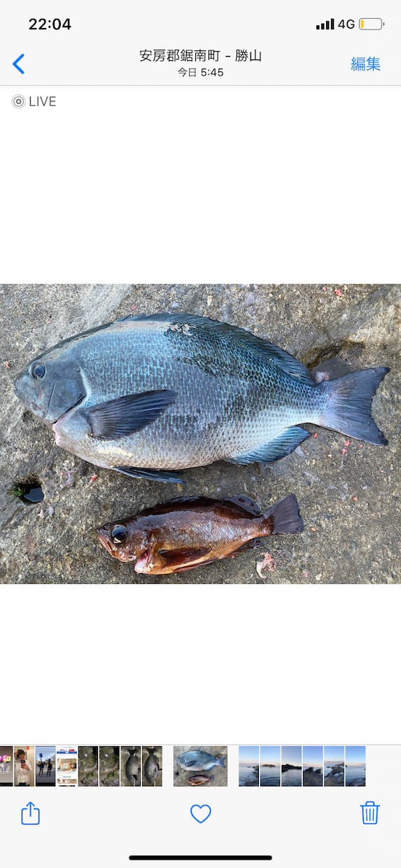 海釣りの始め方！ご満足いくまで何回でも！教えます 〜海釣り（ショアジギング、フカセ等）の始め方教えます〜 イメージ1