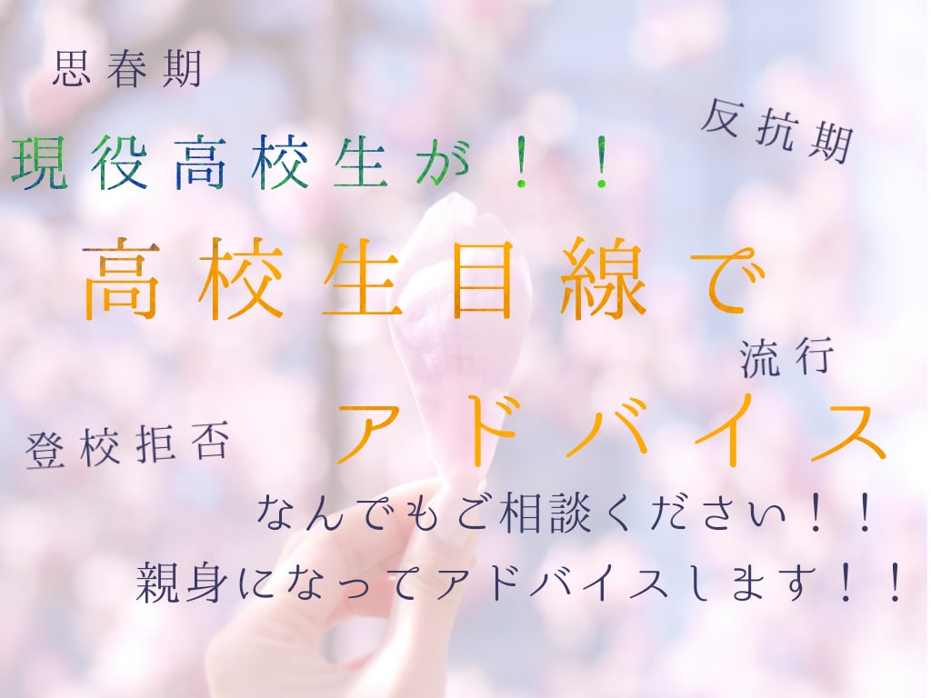現役高校生が高校生目線で親子関係にアドバイスします 父親・母親向け!反抗期、不登校、思春期などの悩みにアドバイス イメージ1