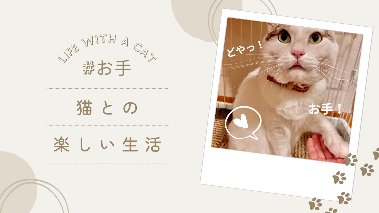 YouTubeのサムネイルを作成いたします 安心の修正無制限でお作りいたします。 イメージ10