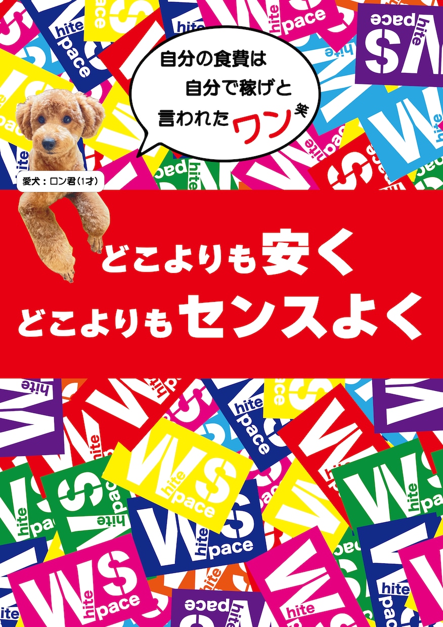 低価格！高クオリティのチラシのデザイン制作致します 求人募集・販売促進など、効果のあるチラシ作りをします イメージ5