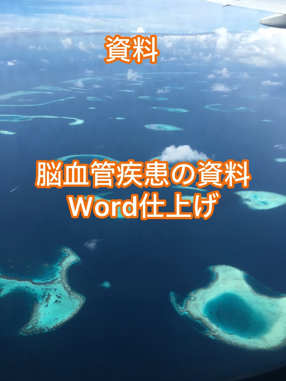 看護学生、リハビリ学生向け、参考資料をお渡します 〜Wordで作った脳血管障害資料〜 イメージ1