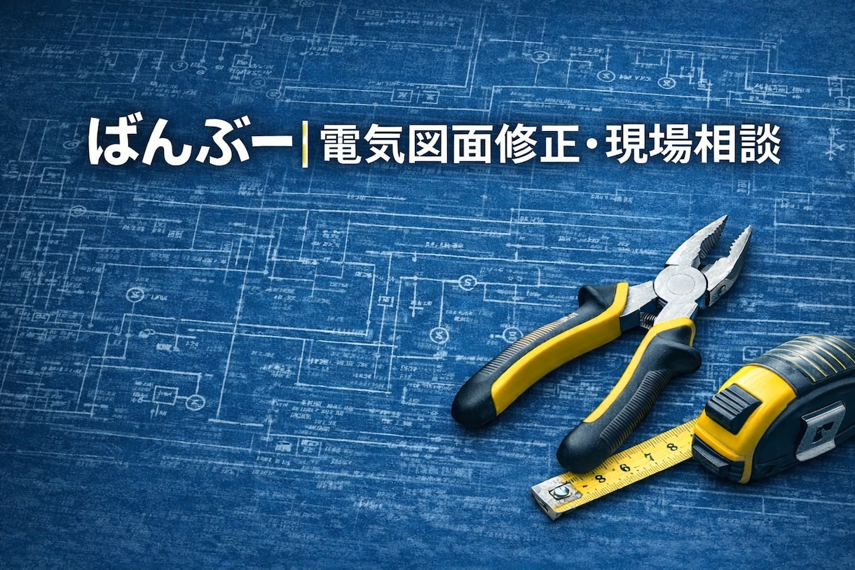 このまま施工できますか？現場経験者がチェックします 施工経験者が、実務目線で電気図面をサポートします イメージ1
