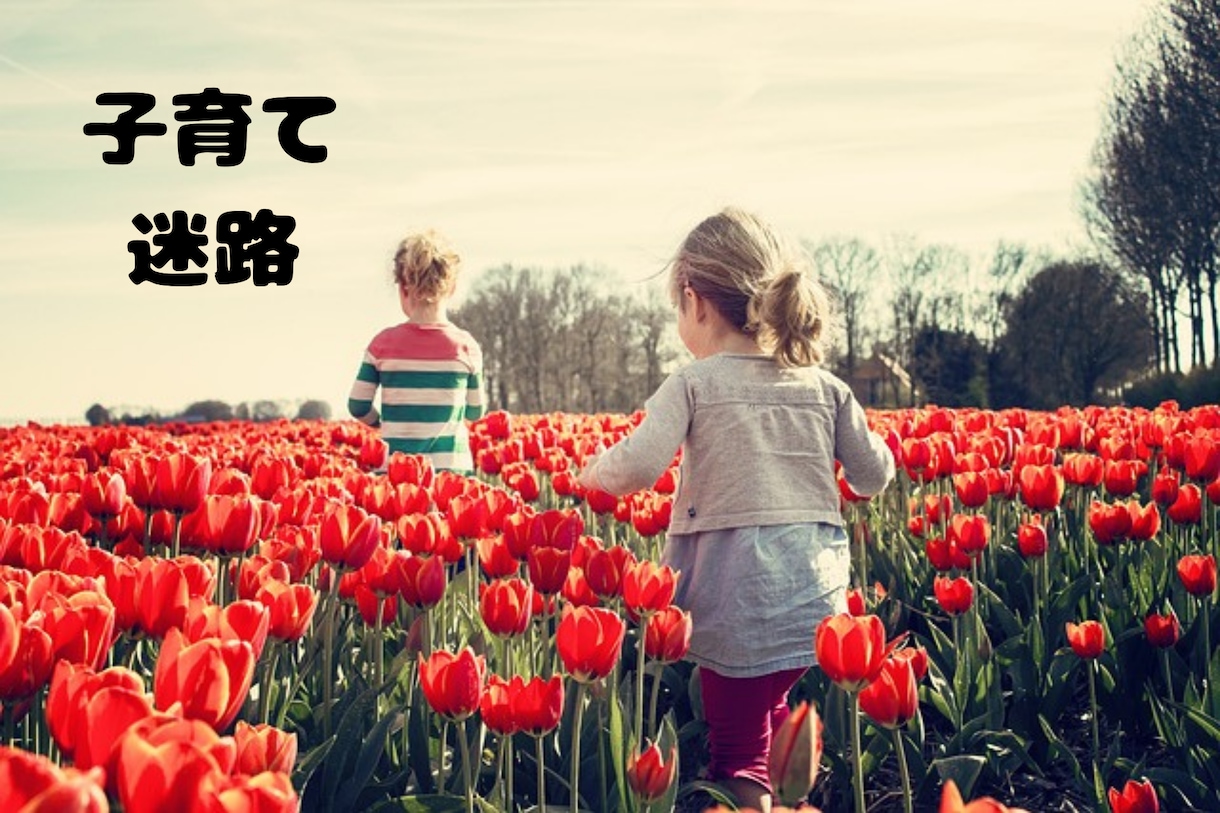 第３者が子育て話を傾聴します お話を丁寧に聴き、あなたらしく一歩前に！サポートをします。 イメージ10