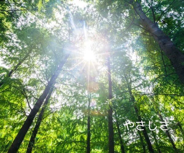 聞き上手な友達として✨あなたの話し相手になります １分でも長時間でも✨愚痴・雑談・悩み✨寄り添います*^_^* イメージ6