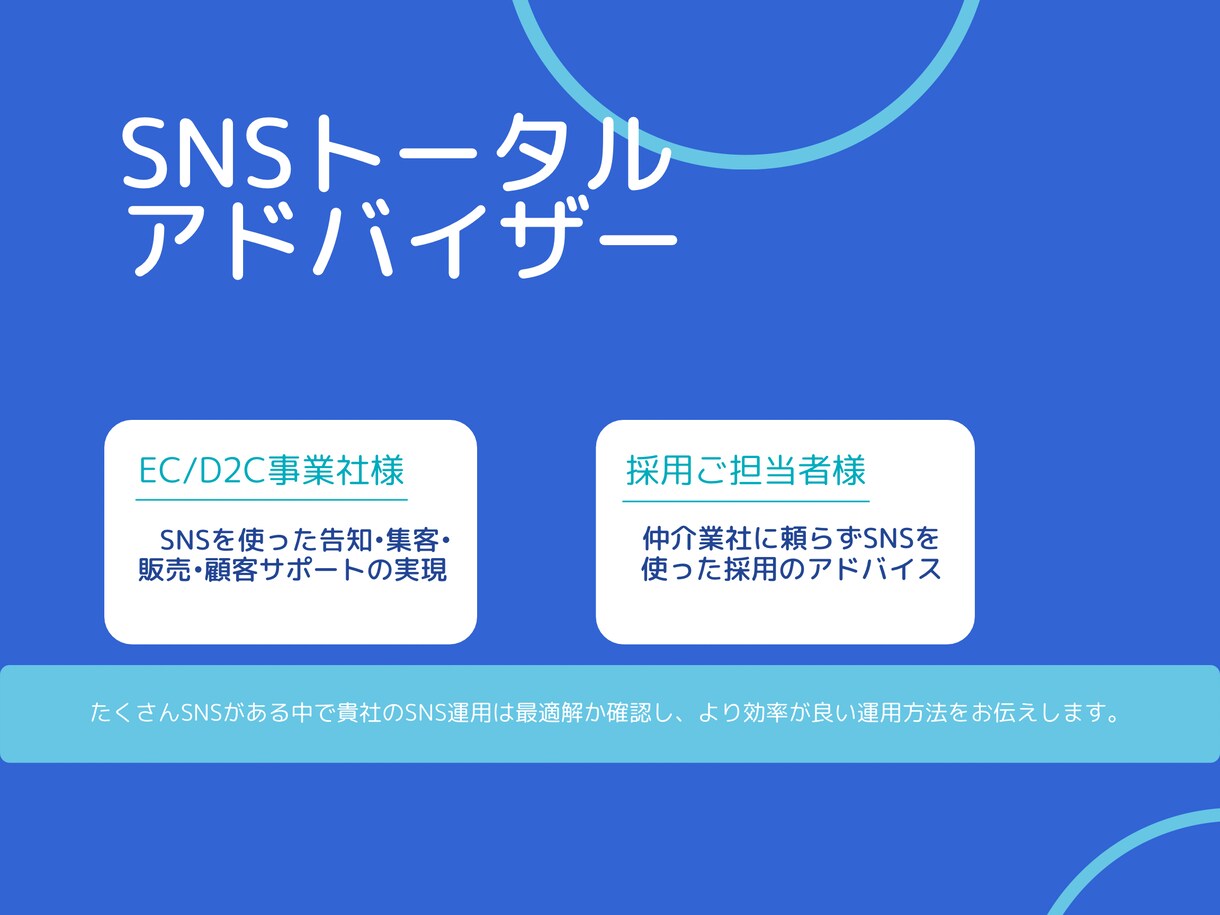 SNSのトータルアドバイザリーをします スタートアップにおけるSNS運用のアドバイスをしています イメージ1