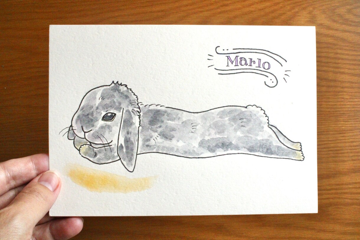 透明水彩絵具で大切なペットのイラストを手描きします そのままプレゼントしたりお部屋に飾れる原画ポストカードです♪ イメージ6
