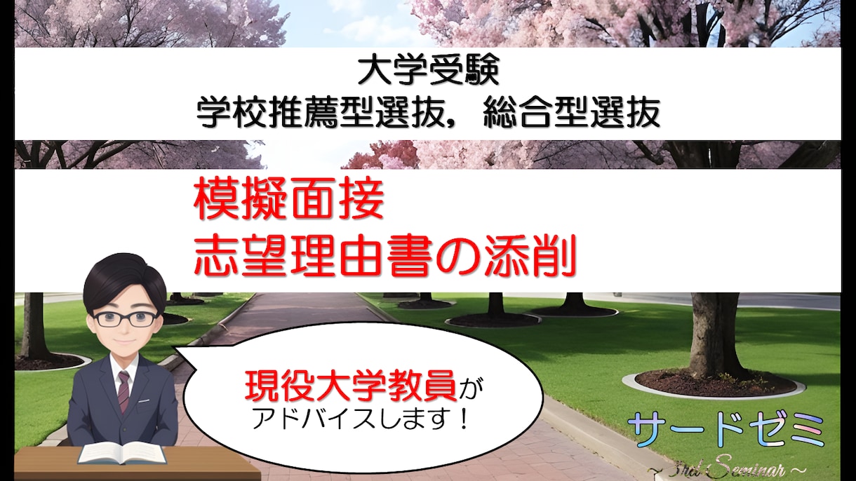 大学入試の模擬面接と志望理由書の添削をします 現役大学教員視点でアドバイスをします（文系学部対象） イメージ2