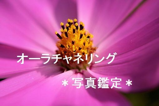 チャクラ＆オーラリーディング＋ヒーリングします オールマイティにあらゆるお悩みに対応できます イメージ1