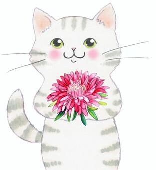ツンデレ猫ちゃん、癒され猫ちゃんのお話し聴きます 大好きな猫ちゃんのお話、思いっきり語ってくださいね♪ イメージ3
