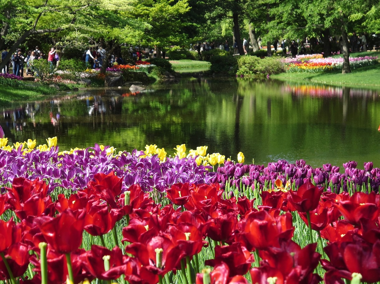 10枚まで1000円で！風景の写真素材を提供します ココナラのサムネイルにいかがですか？無料の加工、編集代行付き イメージ4