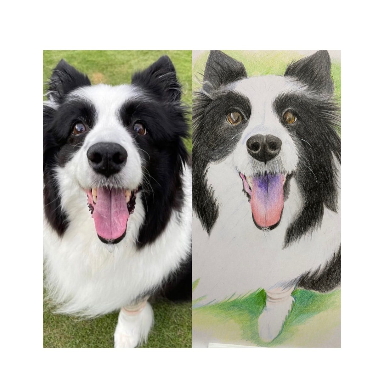 色鉛筆で手書きの愛犬との特別な瞬間を描きます 世界でたった1枚の宝物をアートとして残しませんか？ イメージ3