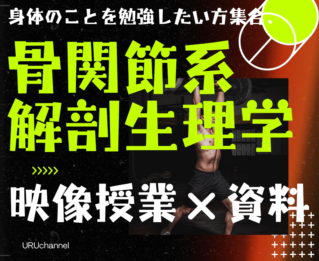 骨関節系解剖生理学をわかりやすく解説します 理学療法士兼講師の私が骨関節系解剖生理学をわかりやすく解説！ イメージ1
