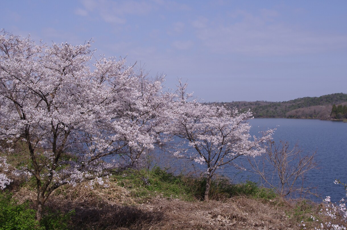 風景に強い！ペンタックスの写真、提供します 肖像権・著作権対策OK、ネイチャー系の写真をお探しの方へ イメージ9