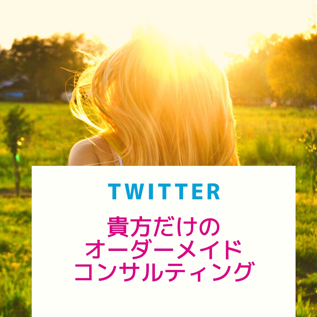 ツイッター初心者向け・二人三脚コンサルします 拡散・宣伝・集客はオプションでカスタマイズします!! イメージ1