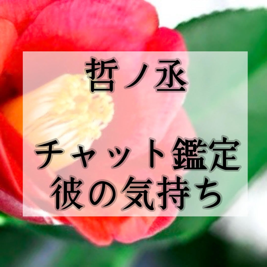 もう迷わない！霊視×祈祷で彼の本音ズバリ見抜きます 【鑑定歴20年】チャット鑑定・片思い・恋愛・結婚・復縁 イメージ1