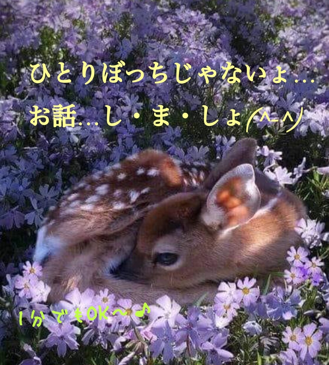60歳以上のモヤモヤさん、お話しお聞きします 「この先不安だなぁ」…なんてふと思ったりしてませんかぁ？ イメージ2