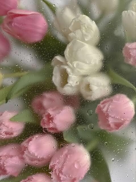 性のお悩み☘️しっかりお答えします 性のお悩みに現役風俗嬢がズバリ⭐️答えます❤️ イメージ7