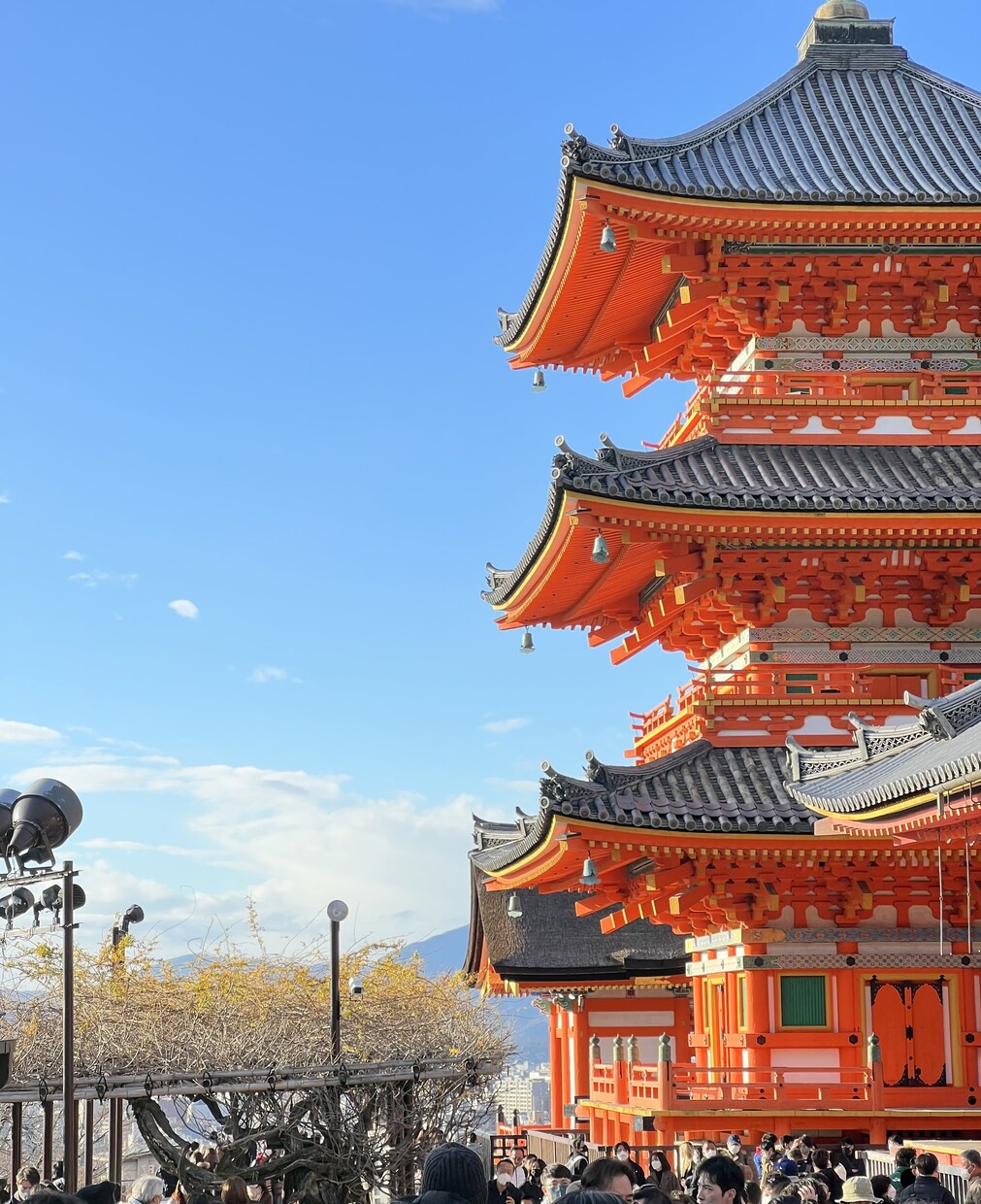 誰にも言えないモヤモヤした気持ちをお聞きします 初心者様大歓迎。始めてのお電話でもお気軽にお試しください イメージ10