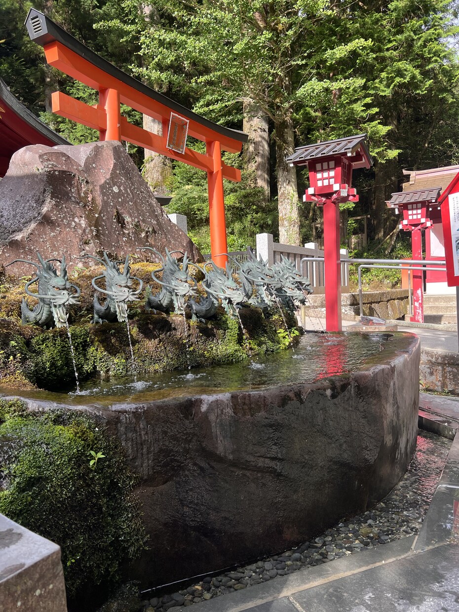 霊視｜霊聴➕カードでお気持ち視えたままお伝えします 恋愛/人間関係/片想い/複雑愛/復縁/人生☯️鑑定歴18年 イメージ7