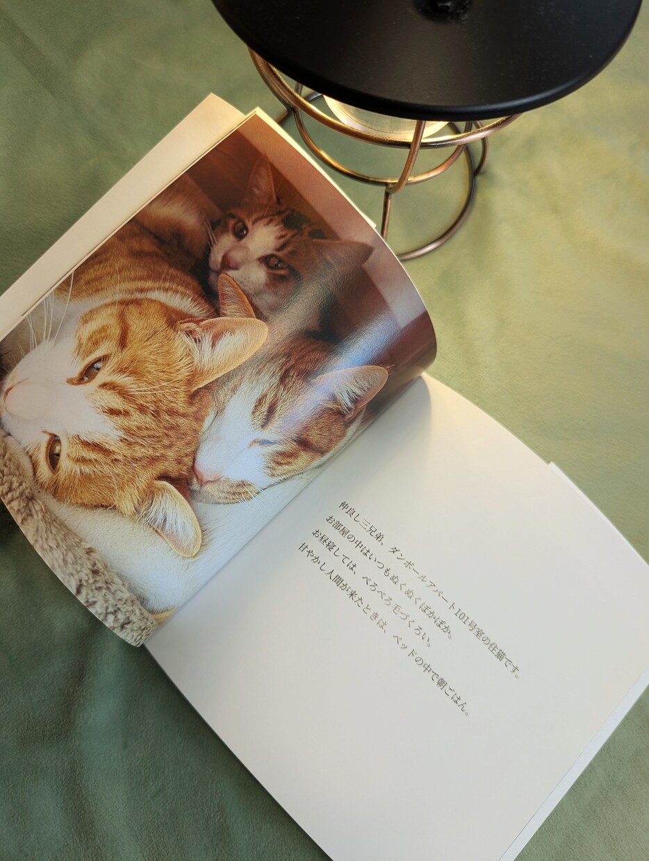 写真から、あなただけの宝物アルバムをお作りします 写真が増えて整理できない…そんなあなたの代わりに作ります イメージ4