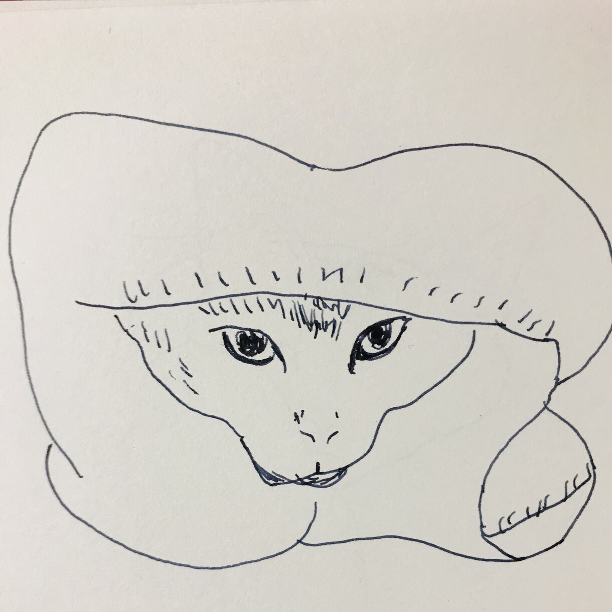 色んな猫　描きます ご自身のペット似顔絵・アイコン、猫好きの方に♡ イメージ6