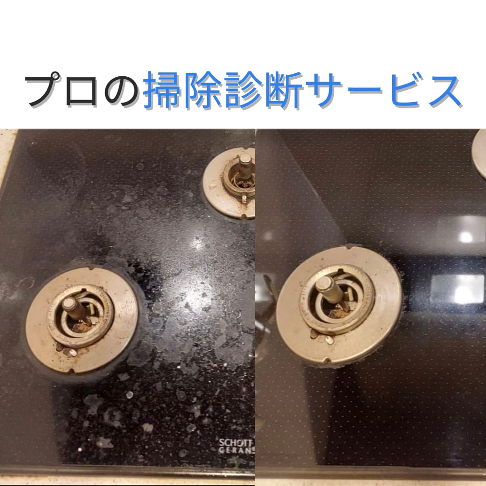 何しても落ちない汚れの『化学掃除術』教えます 写真で分かるあなたの汚れの正体 イメージ1