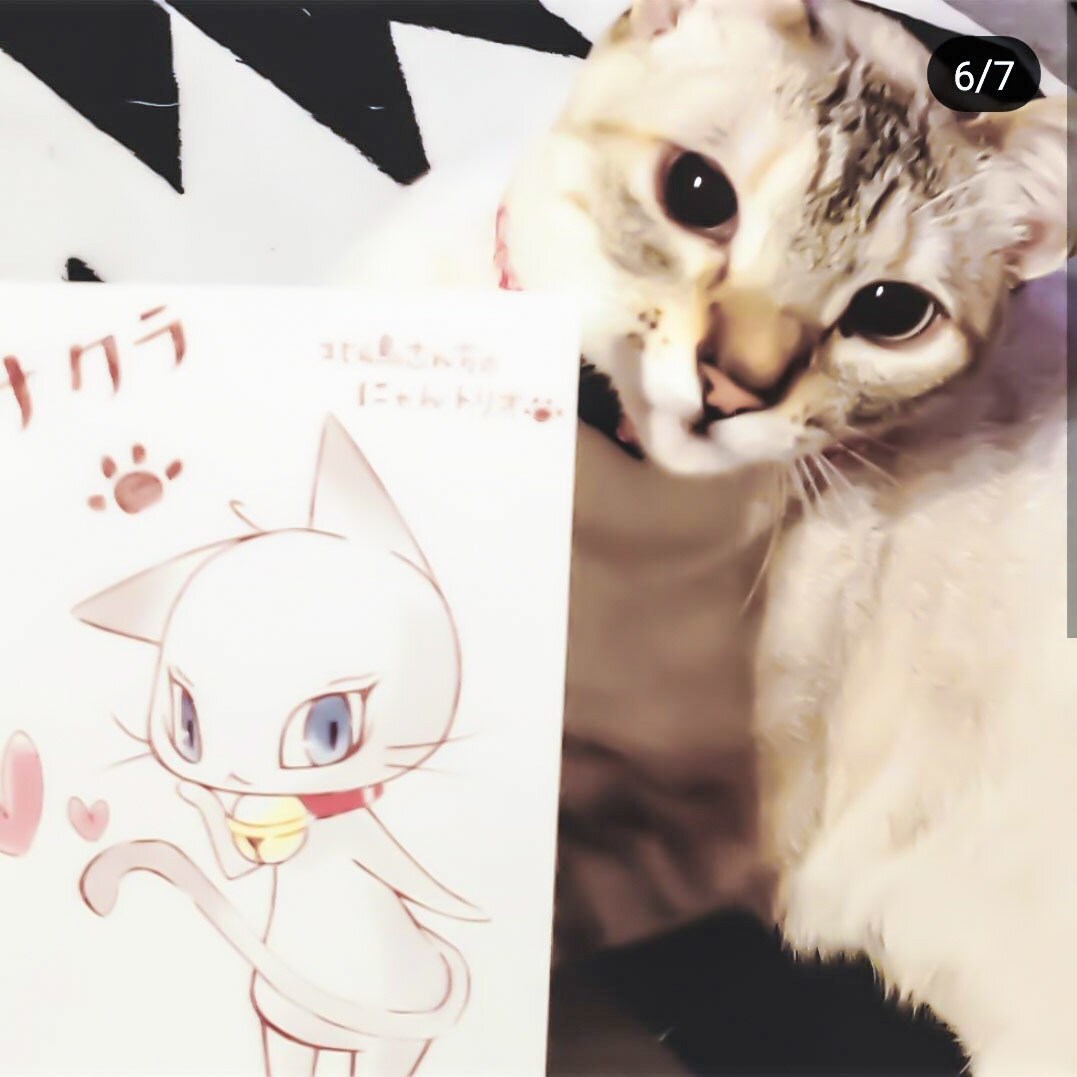 可愛い猫ちゃんのキャラクター似猫絵描きます グッズ製作にも使えるキャラクターをデザインさせて頂きます！ イメージ4