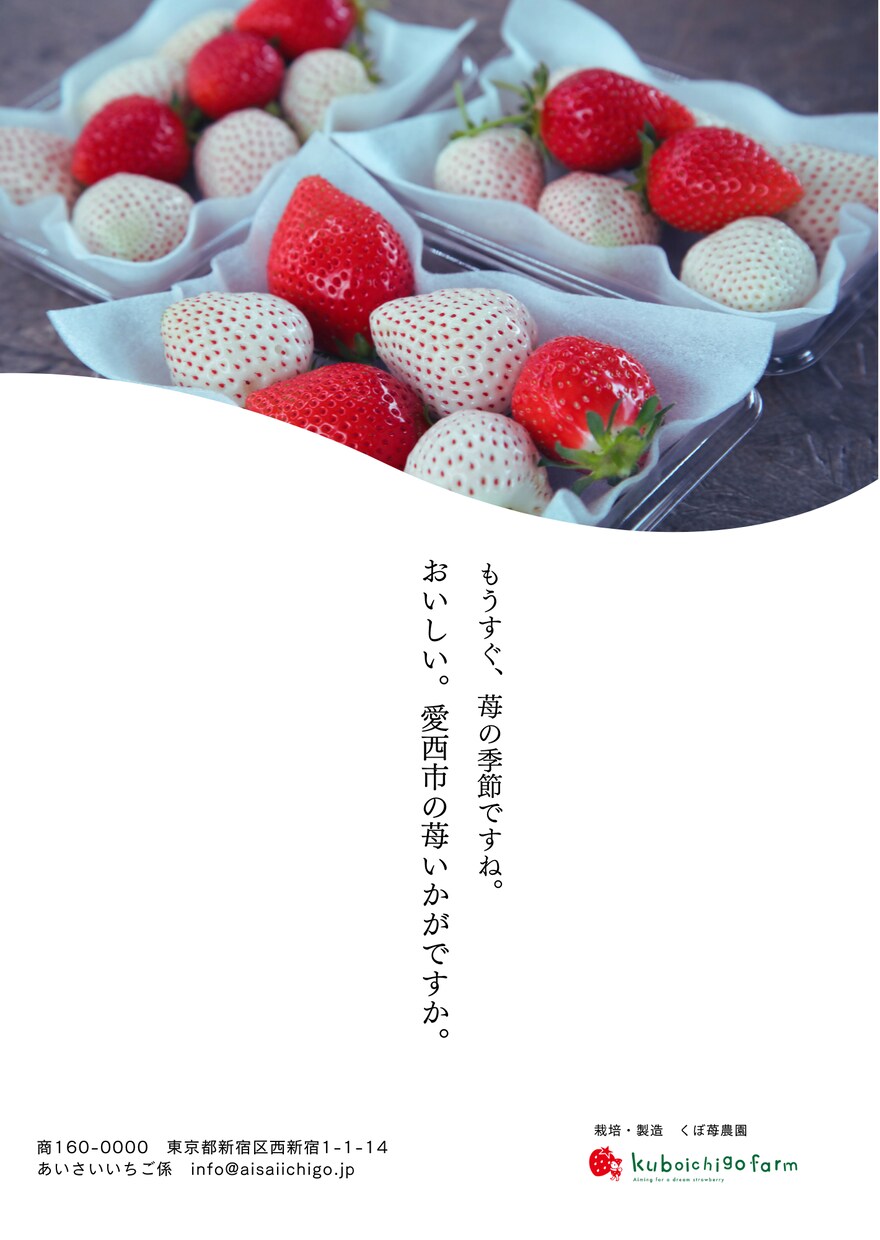 コスパ重視でも良デザインのチラシを作ります 広報／企画の現場20年の経験者が予算にやさしいチラシ制作 イメージ3
