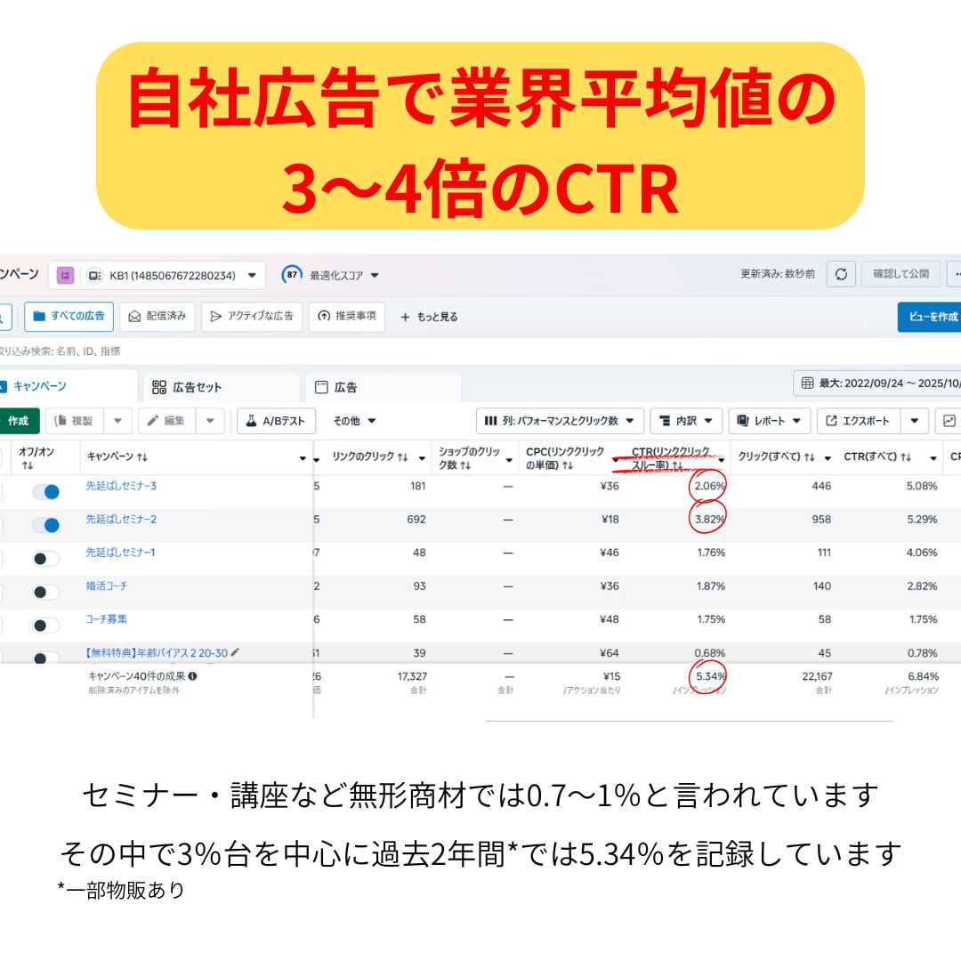 CTR最大化！売れる動画広告短期納品します セールスライティング+AI動画で”売れる”動画広告 イメージ3