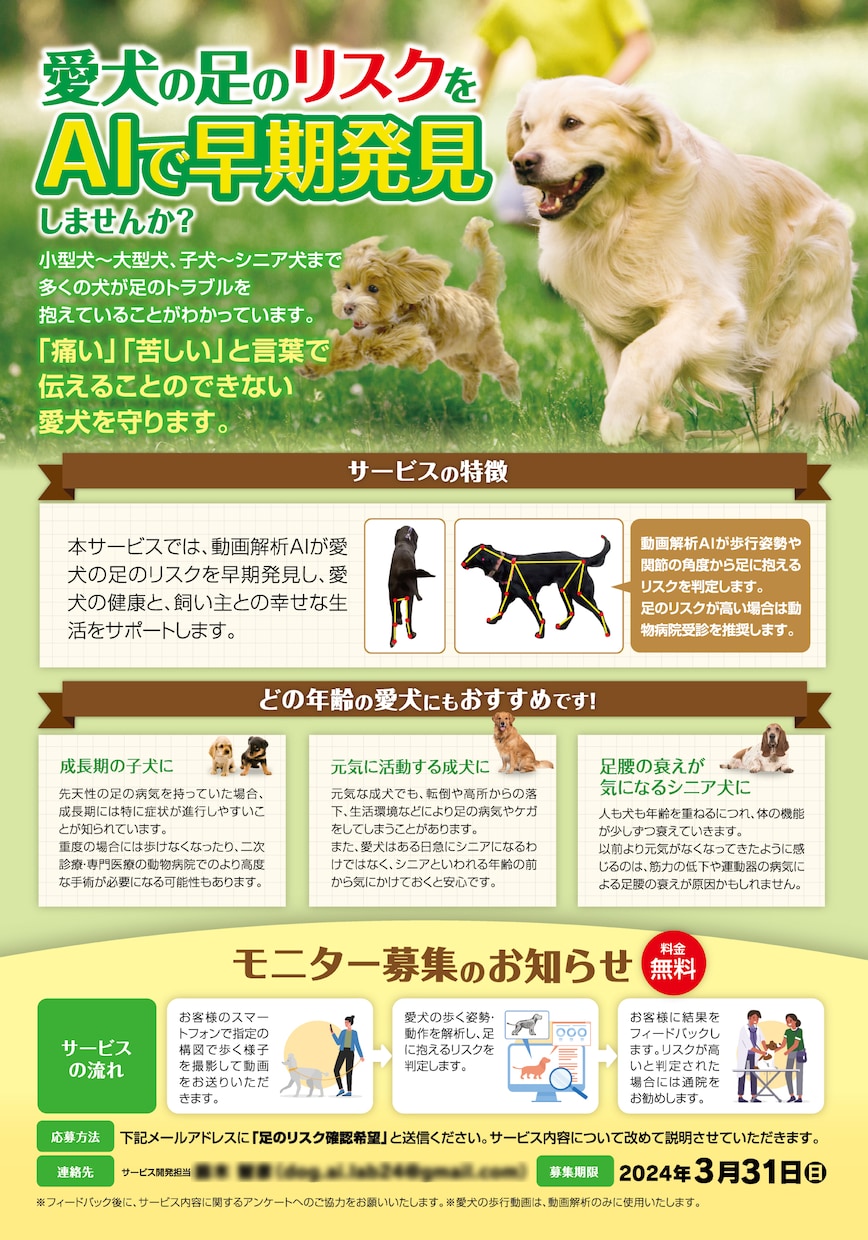 はじめてでも安心｜内容整理から作るチラシ制作します 掲載内容から一緒に考える、失敗しないチラシ制作 イメージ6