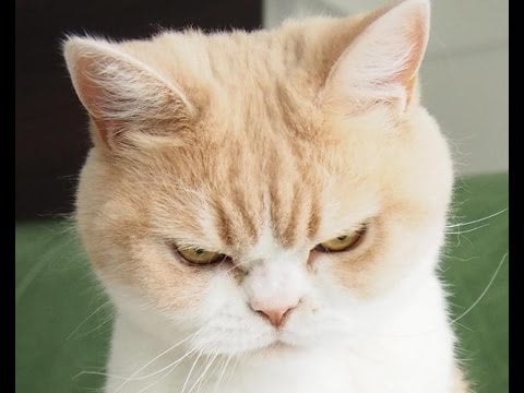 日常のストレスやイライラ愚痴などなんでも聞きます 日頃のストレスで疲れている、誰かに相談したいと思っている人 イメージ2