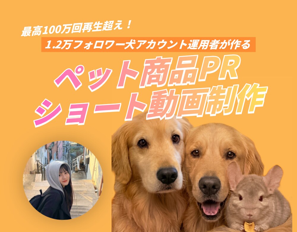 大型犬出演！ペット用品のPR用リール動画を作ります 最高100万再生超えの愛犬家が、縦型ショート動画を制作します イメージ1