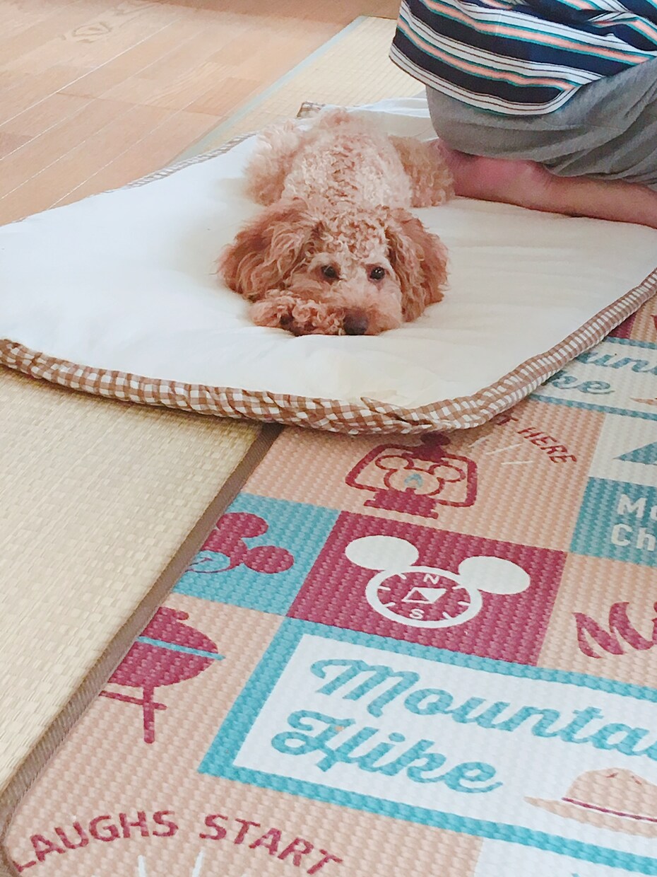つらくない？話ます 心の病、少しでも和らげます(*´꒳`*)♡ イメージ1