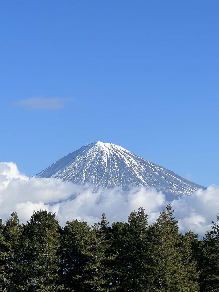貴方の心を温め、軽やかにします 明るい明日を目指してまいりましょう。 イメージ3