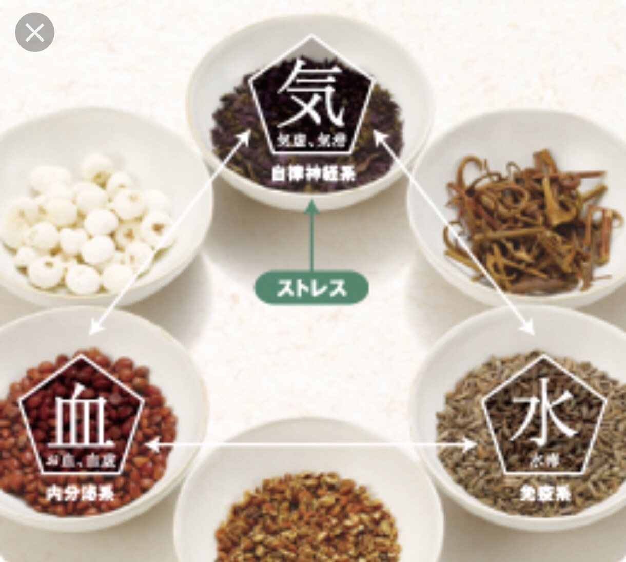 体が喜ぶ季節に合わせた薬膳レシピを紹介します 元気野菜の薬膳レシピ、食べるもので体はできています。 イメージ1