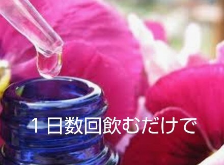 頑張らなくても人生は変えられる。エッセンス選びます 充分頑張ってきたあなただから。飲むだけで理想の自分になる方法 イメージ1