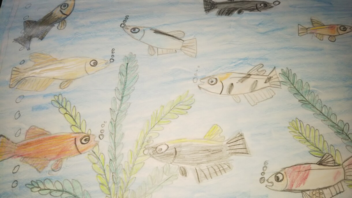 メダカのイラスト作成します 個性的なイラストや貼り絵でオリジナルの１枚を！ イメージ4