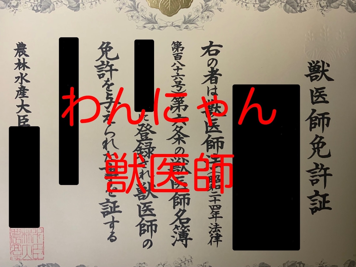 現役獣医師に直接質問！　犬猫の相談なんでものります あなたの心配をお聞かせください イメージ1