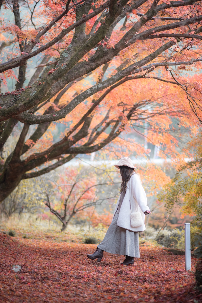 出張撮影（東海）で特別な1日を記録します SNS、プロフィール写真、家族写真まで幅広く対応します イメージ5