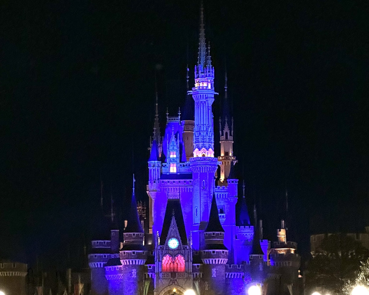 ニーズに沿ったディズニーのプランニングをします キャスト現場経験を活かした安心のプランをご提案 イメージ1
