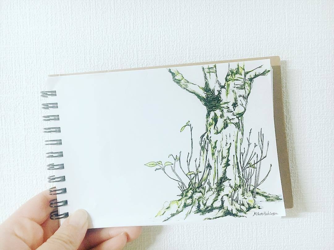 味のある植物のイラスト描きます 植物のある暮らしをまずは絵から始めませんか？ イメージ4