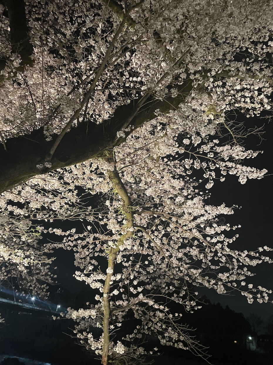 恋愛、婚外恋愛、子育てなど霊感タロットで見ます 〜離婚、婚外恋愛、子育て、自立にお悩みのあなたへ イメージ1