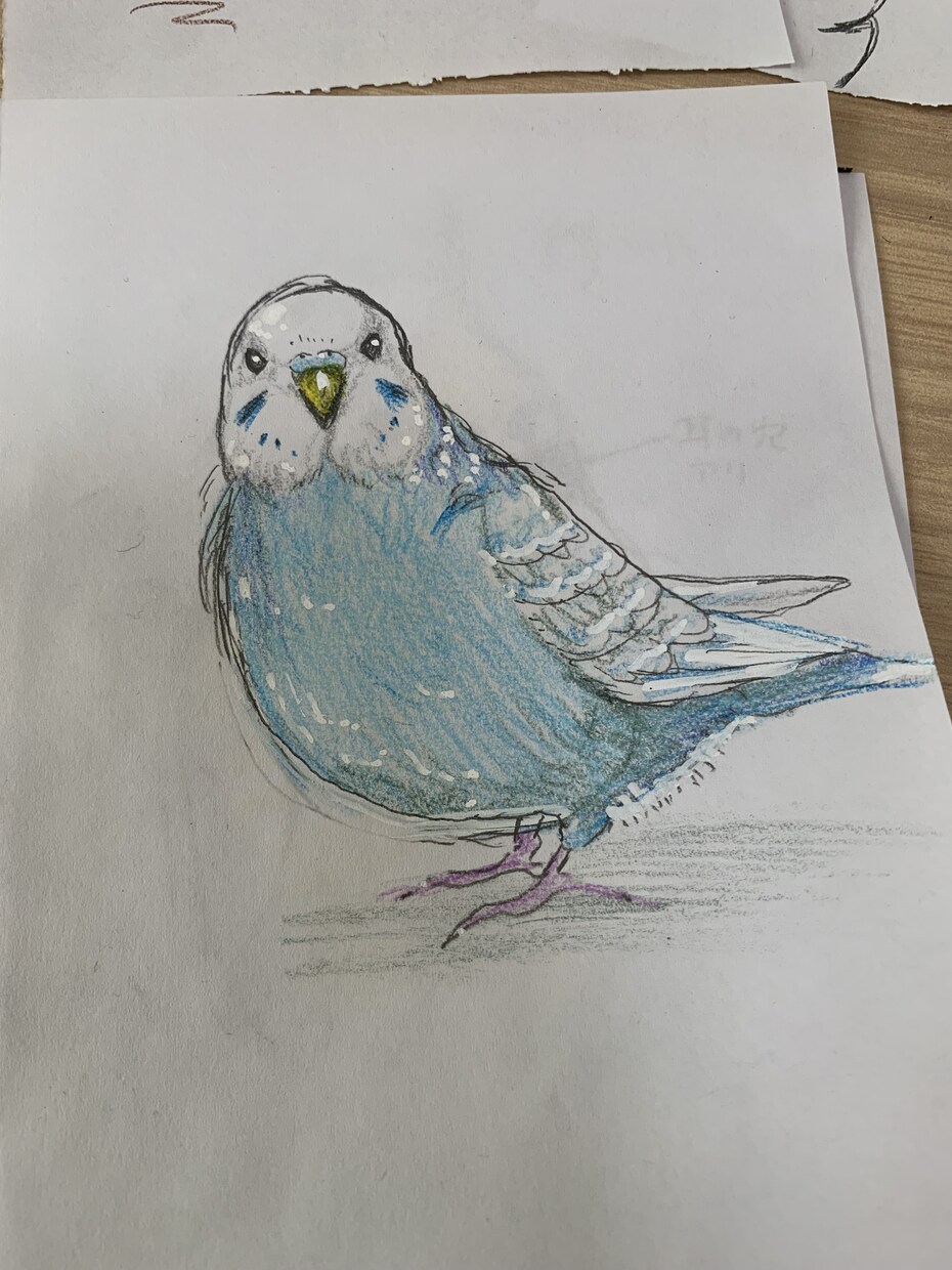 ほっこり似顔絵描きます 人物、猫、鳥、犬、ハムスターの似顔絵 イメージ7