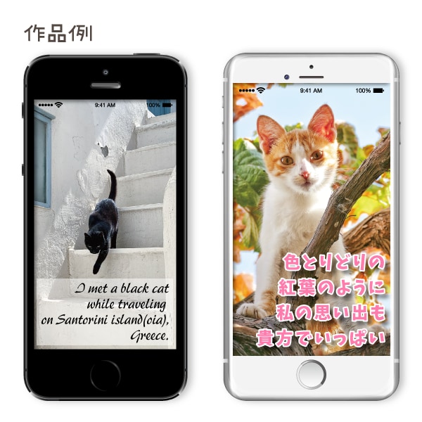 あなただけのオリジナル壁紙作ります 画像を綺麗に補正、文字入れしてスマホ等の壁紙をお作りします！ イメージ4