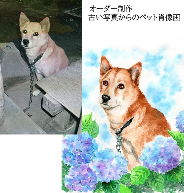 画質の良くない写真からでもペット肖像画描きます 昔一緒に暮らしたあの子の思い出を色鮮やかな絵に イメージ5