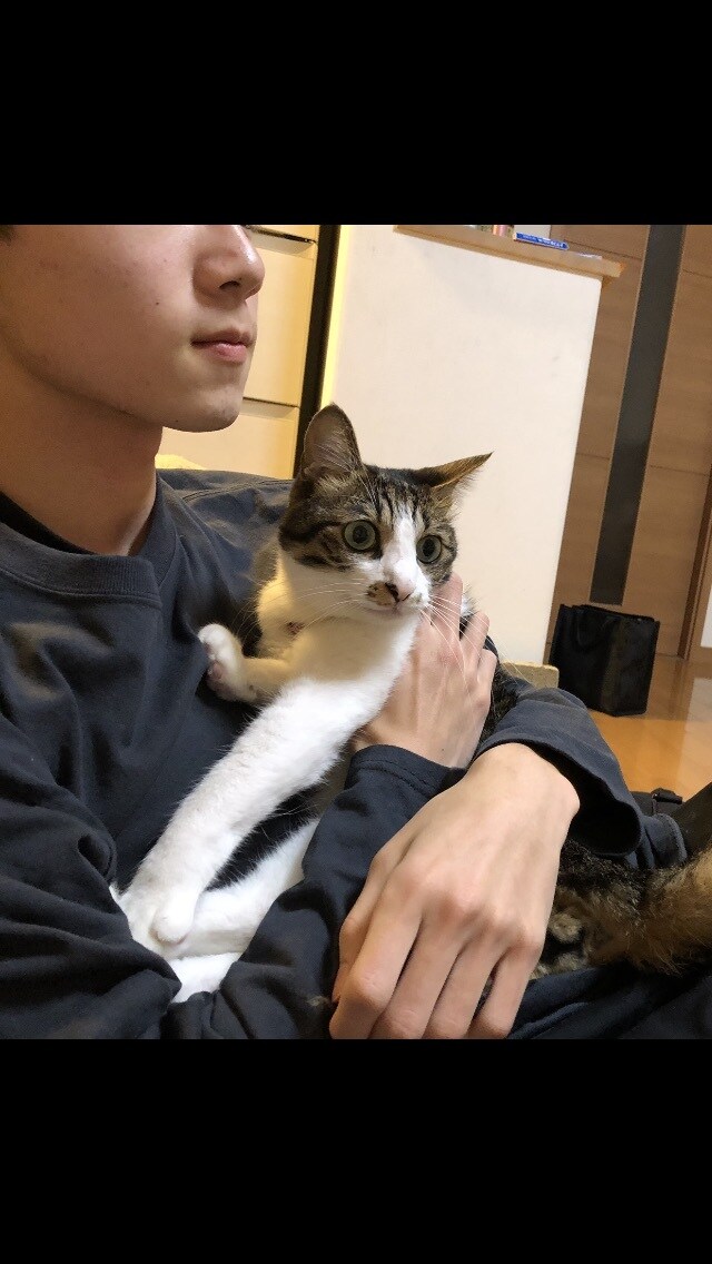 たくさんの人とお話しします 高校生男子です！たくさんの人とお話ししたいです！ イメージ1